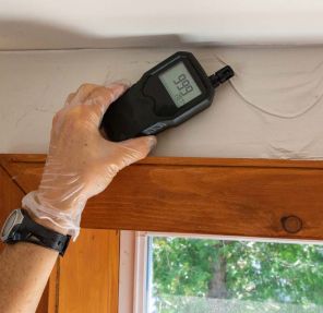 What to Know About Environmental Testing During a Home Inspection